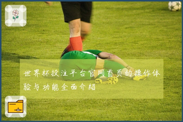 世界杯投注平台官网首页的操作体验与功能全面介绍