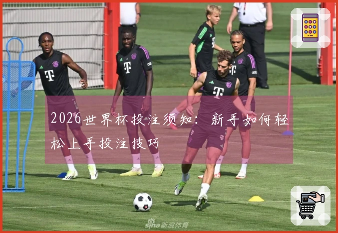 2026世界杯投注须知：新手如何轻松上手投注技巧