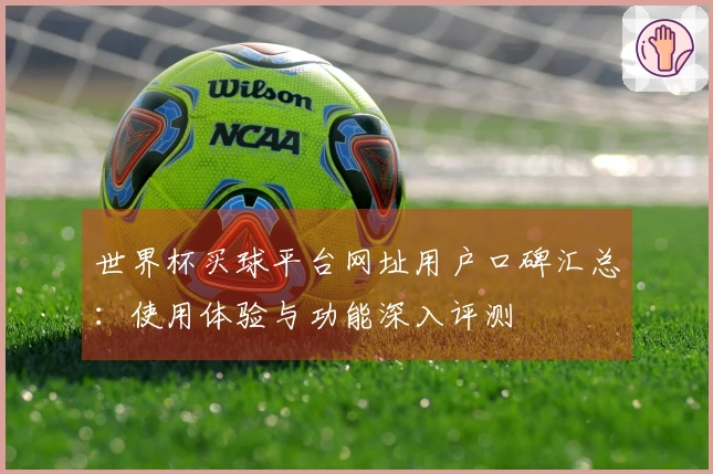 世界杯买球平台网址用户口碑汇总：使用体验与功能深入评测