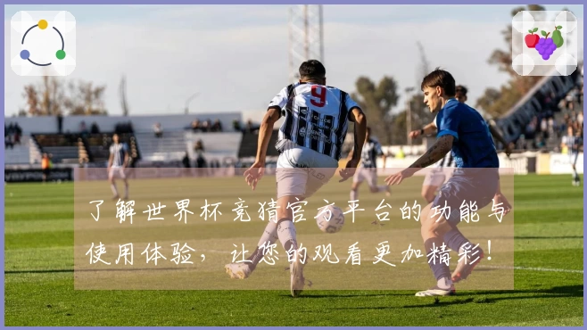 了解世界杯竞猜官方平台的功能与使用体验，让您的观看更加精彩！