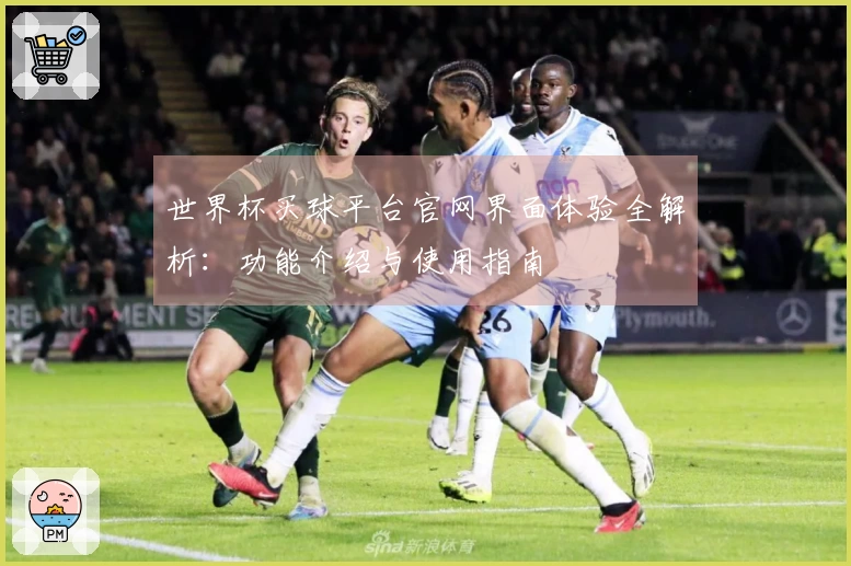 世界杯买球平台官网界面体验全解析：功能介绍与使用指南