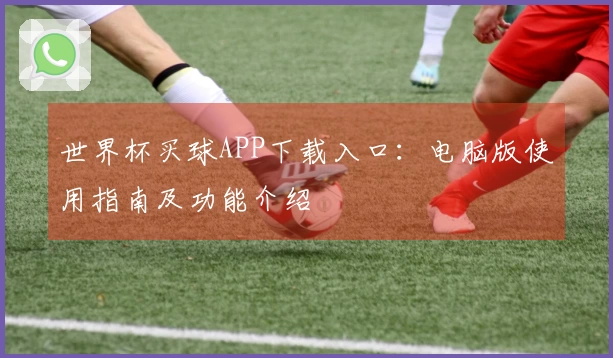 世界杯买球APP下载入口：电脑版使用指南及功能介绍