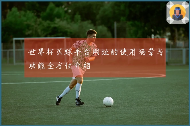 世界杯买球平台网址的使用场景与功能全方位介绍