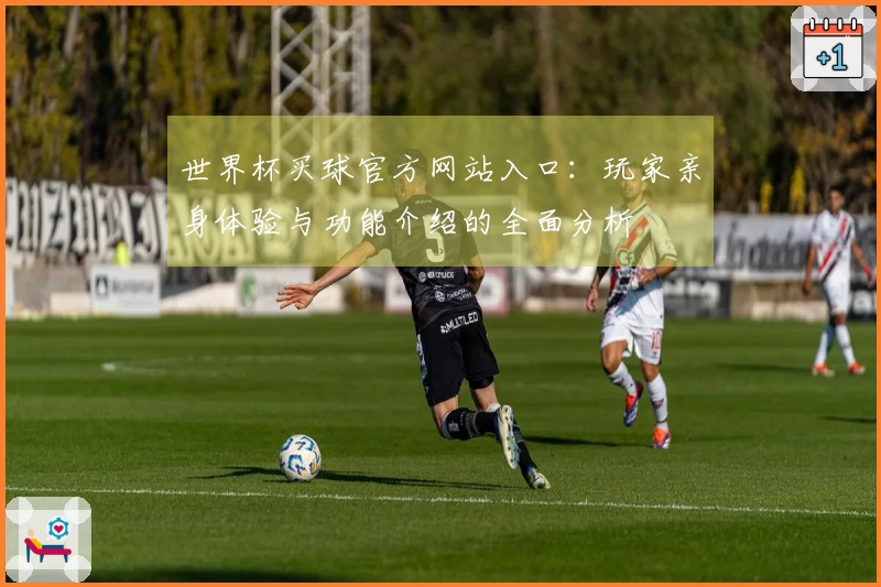 世界杯买球官方网站入口：玩家亲身体验与功能介绍的全面分析