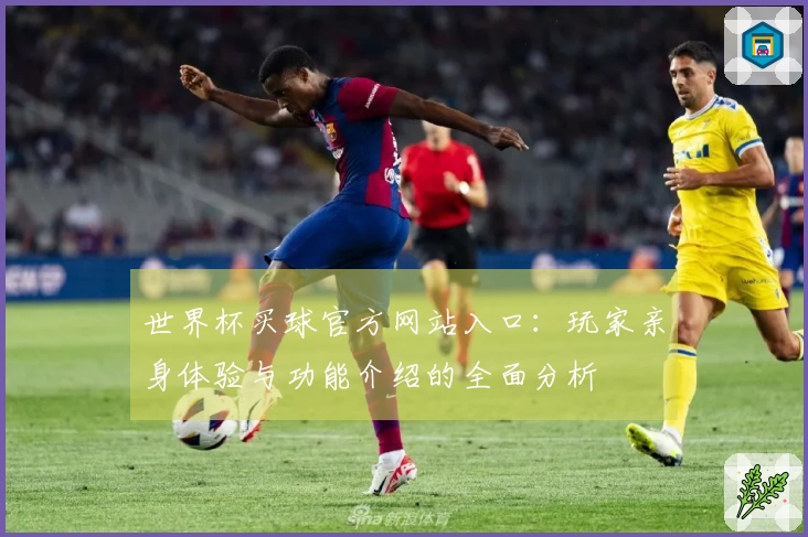 世界杯买球官方网站入口：玩家亲身体验与功能介绍的全面分析