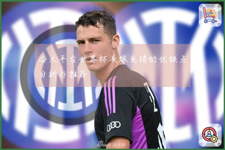 各大平台世界杯滚球竞猜的优缺点分析与推荐