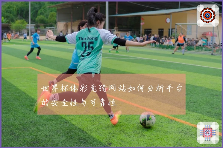 世界杯体彩竞猜网站如何分析平台的安全性与可靠性