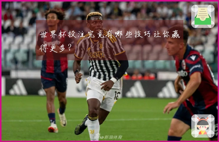 世界杯投注究竟有哪些技巧让你赢得更多？