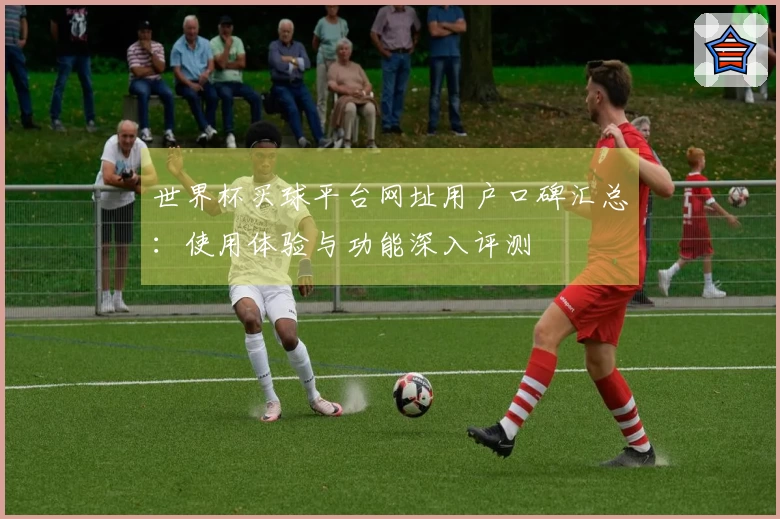 世界杯买球平台网址用户口碑汇总：使用体验与功能深入评测