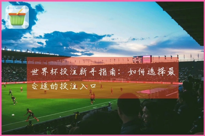 世界杯投注新手指南：如何选择最合适的投注入口