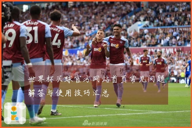 世界杯买球官方网站首页常见问题解答与使用技巧汇总