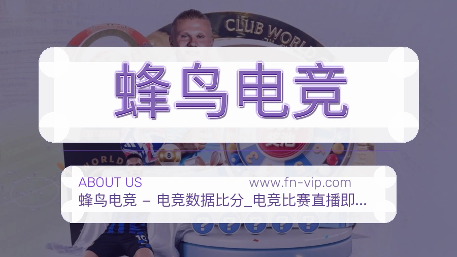 蜂鸟电竞 体育赛事与数据服务平台